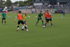 IMG_3582