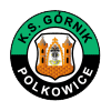 Górnik Polkowice